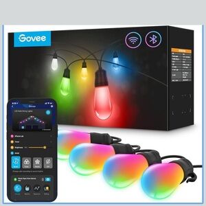 Govee LED Bulb String Lights